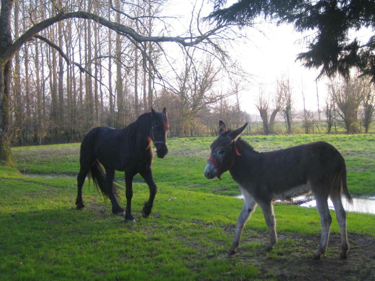 Willa La Ferme De Tigny Zewnętrze zdjęcie