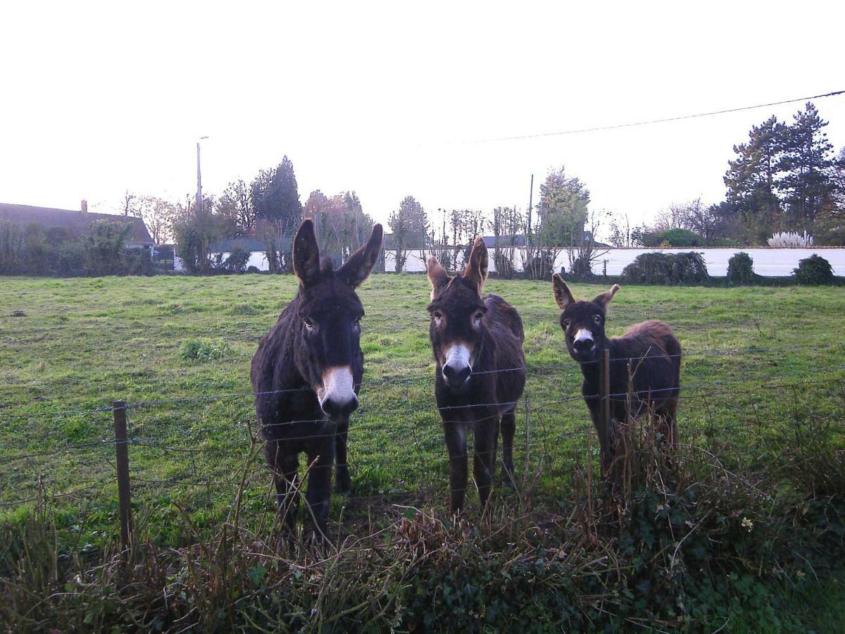 Willa La Ferme De Tigny Zewnętrze zdjęcie