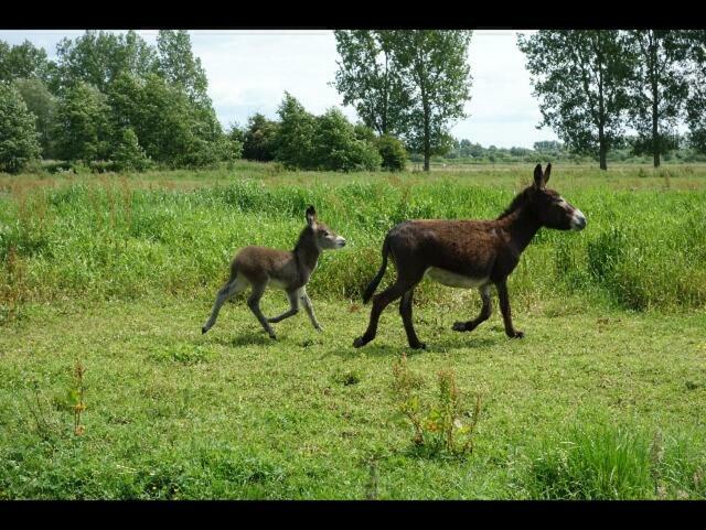 Willa La Ferme De Tigny Zewnętrze zdjęcie